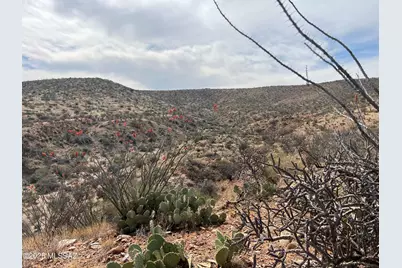 12 Acres S Golder Dam Road, Saddlebrooke, AZ 85739 - Photo 3