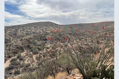 12 Acres S Golder Dam Road, Saddlebrooke, AZ 85739 - Photo 9