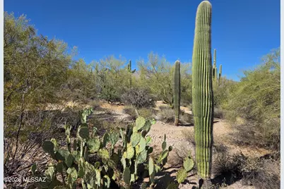 4675 N Camino Ocotillo #221, Tucson, AZ 85718 - Photo 3