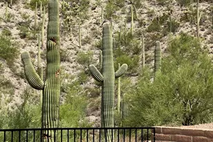 6821 N Quartzite Canyon Pl, Tucson, AZ 85718 - Photo 43