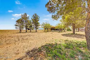 6 Buckskin Ln, Sonoita, AZ 85637 - Photo 43