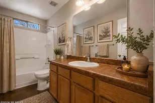 409 E Geronimo Bluff Loop, Tucson, AZ 85705 - Photo 23