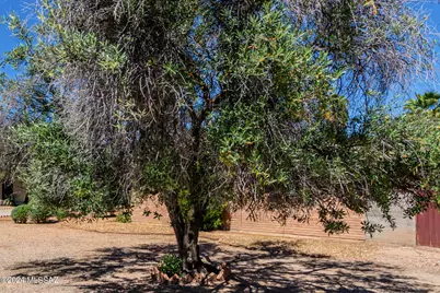 5255 E Baker Street, Tucson, AZ 85711 - Photo 3