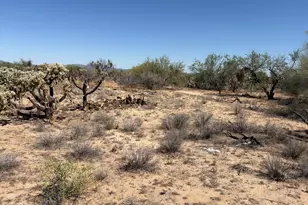 15670 W Many Horses Rd, Tucson, AZ 85736 - Photo 1