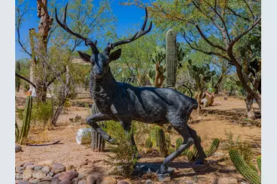 13410 E Camino La Cebadilla, Tucson, AZ 85749 - Photo 39