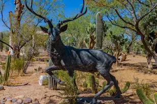 13410 E Camino La Cebadilla, Tucson, AZ 85749 - Photo 39