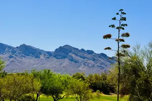 1465 W Bridalveil Pl, Tucson, AZ 85737 - Photo 41