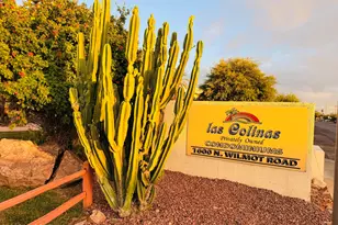 1600 N Wilmot Rd, Tucson, AZ 85712 - Photo 31
