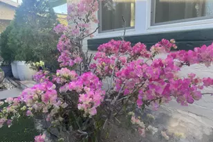 709 East 5th Street, Tucson, AZ 85719 - Photo 41