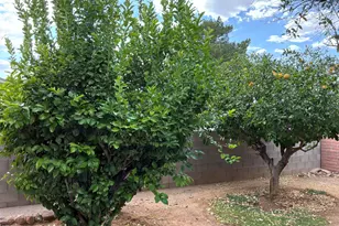 118 W Andrew Potter St, Corona de Tucson, AZ 85641 - Photo 33