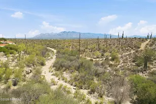 416 N Shantel Dr, Tucson, AZ 85745 - Photo 47
