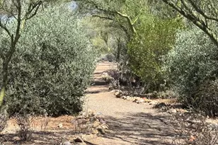 3835 N Nash Creek Ct, Tucson, AZ 85745 - Photo 47