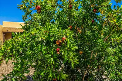 340 N Suntan Drive, Vail, AZ 85641 - Photo 21