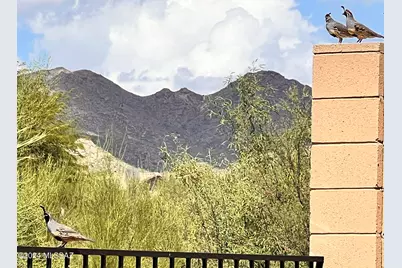 13289 N Rainbow Cactus Court, Oro Valley, AZ 85755 - Photo 41