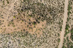 15285 N San Pedro River Road N, Benson, AZ 85602 - Photo 45