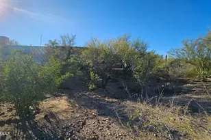 7430 W Bopp Rd, Tucson, AZ 85735 - Photo 27