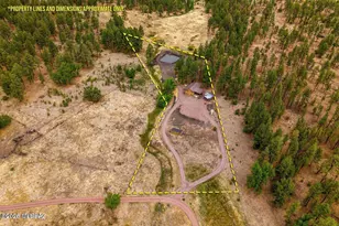 28 County Rd 2310, Alpine, AZ 85920 - Photo 3
