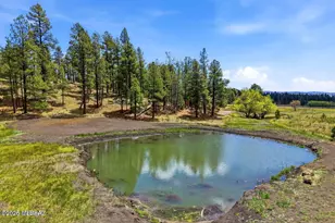 28 County Rd 2310, Alpine, AZ 85920 - Photo 41