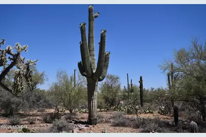 3510 N Camino De Oeste, Tucson, AZ 85745 - Photo 35