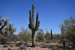 3510 N Camino De Oeste, Tucson, AZ 85745 - Photo 35