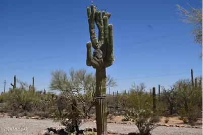 3510 N Camino De Oeste, Tucson, AZ 85745 - Photo 33