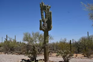 3510 N Camino De Oeste, Tucson, AZ 85745 - Photo 33