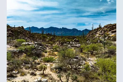 1768 W Tortolita Mountain Circle #581, Oro Valley, AZ 85755 - Photo 13
