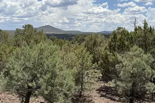 26 Acr 3027, Vernon, AZ 85940 - Photo 47
