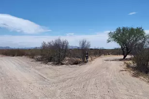 18565 W McClean Rd, Marana, AZ 85653 - Photo 5