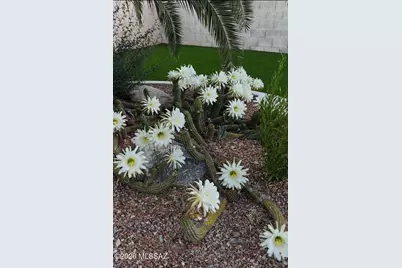 12953 N Meadview Way, Oro Valley, AZ 85755 - Photo 37