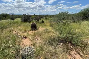 W Dove Way, Amado, AZ 85645 - Photo 9