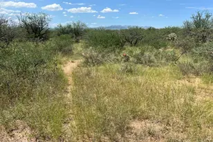 W Dove Way, Amado, AZ 85645 - Photo 11