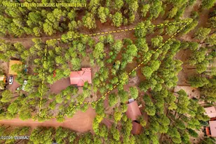 4 Co Rd 2089, Alpine, AZ 85920 - Photo 3