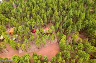 4 Co Rd 2089, Alpine, AZ 85920 - Photo 35