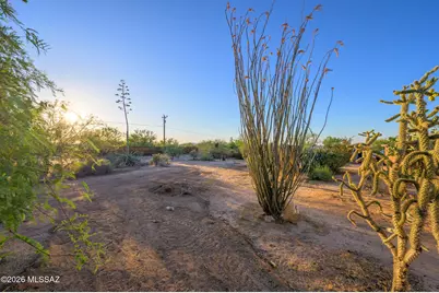 11155 S Brandywine Lane, Tucson, AZ 85736 - Photo 5