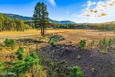 1A Forest Road #26, Alpine, AZ 85920 - Photo 3