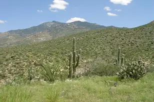 7301 S Red Hl Rd, Vail, AZ 85641 - Photo 1