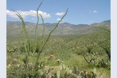 7301 S Red Hill Road #84, Vail, AZ 85641 - Photo 3
