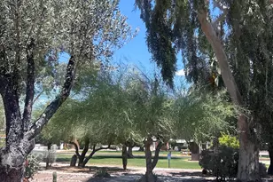 344 S Paseo Pena, Green Valley, AZ 85614 - Photo 15