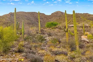7640 N Camino Sin Vacas, Tucson, AZ 85718 - Photo 31