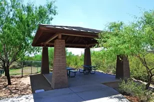 12081 N Golden Mirror Dr, Marana, AZ 85658 - Photo 41