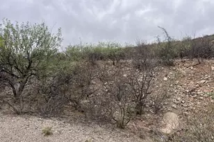 1835 Camino China, Rio Rico, AZ 85648 - Photo 5