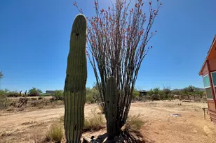 12601 S Cherokee Ln, Tucson, AZ 85736 - Photo 21