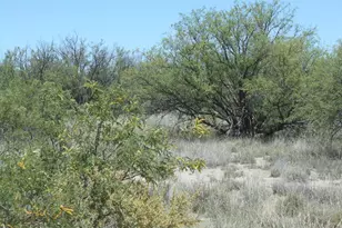 199 E Taylor Ln, Cochise, AZ 85606 - Photo 17