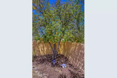 1037 E Blacklidge Drive, Tucson, AZ 85719 - Photo 23