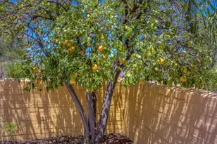 1037 E Blacklidge Dr, Tucson, AZ 85719 - Photo 23