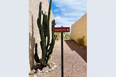 4554 E Camino De Cancun, Tucson, AZ 85718 - Photo 3