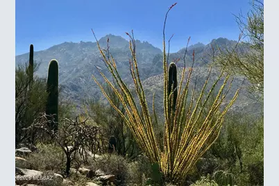 1424 W Bridalveil Place, Tucson, AZ 85737 - Photo 39