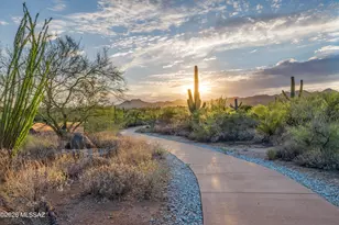 13811 N Javelina Springs Pl, Oro Valley, AZ 85755 - Photo 5