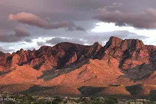 11656 N Silverwood Dr, Oro Valley, AZ 85737 - Photo 5